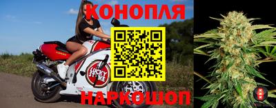 сатива Гусь-Хрустальный