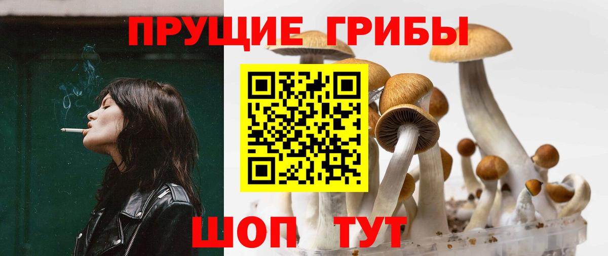 Кандалакша  Псилоцибиновые грибы Magic Shrooms  Вход с VPN  Галлюциногенные грибы ЛСД 