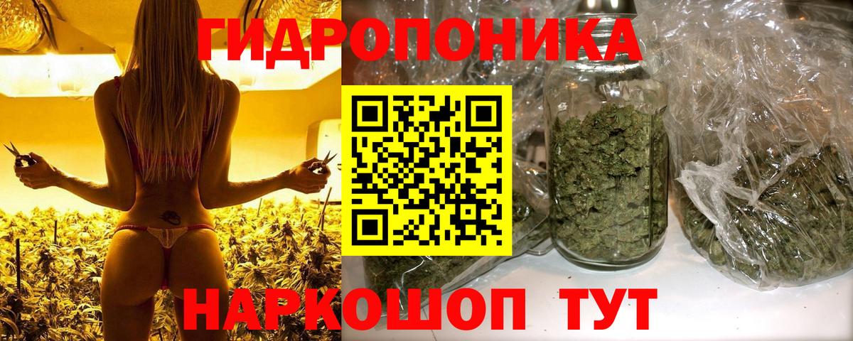 Кандалакша  Бошки марихуана Bruce Banner  Шишки марихуана LSD WEED  Бошки марихуана ГИДРОПОН  Вход с VPN 